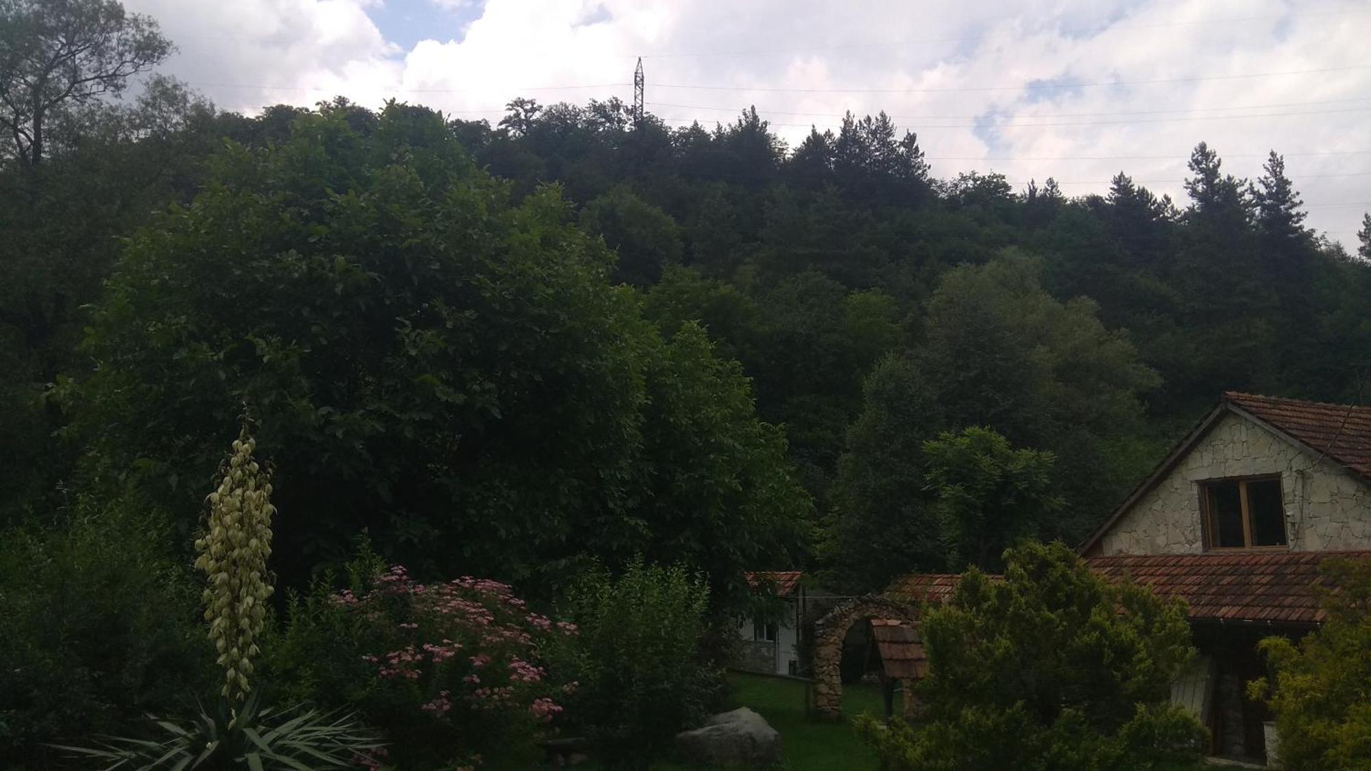 Bed and Breakfast Eco Garden Dilidschan Exterior foto