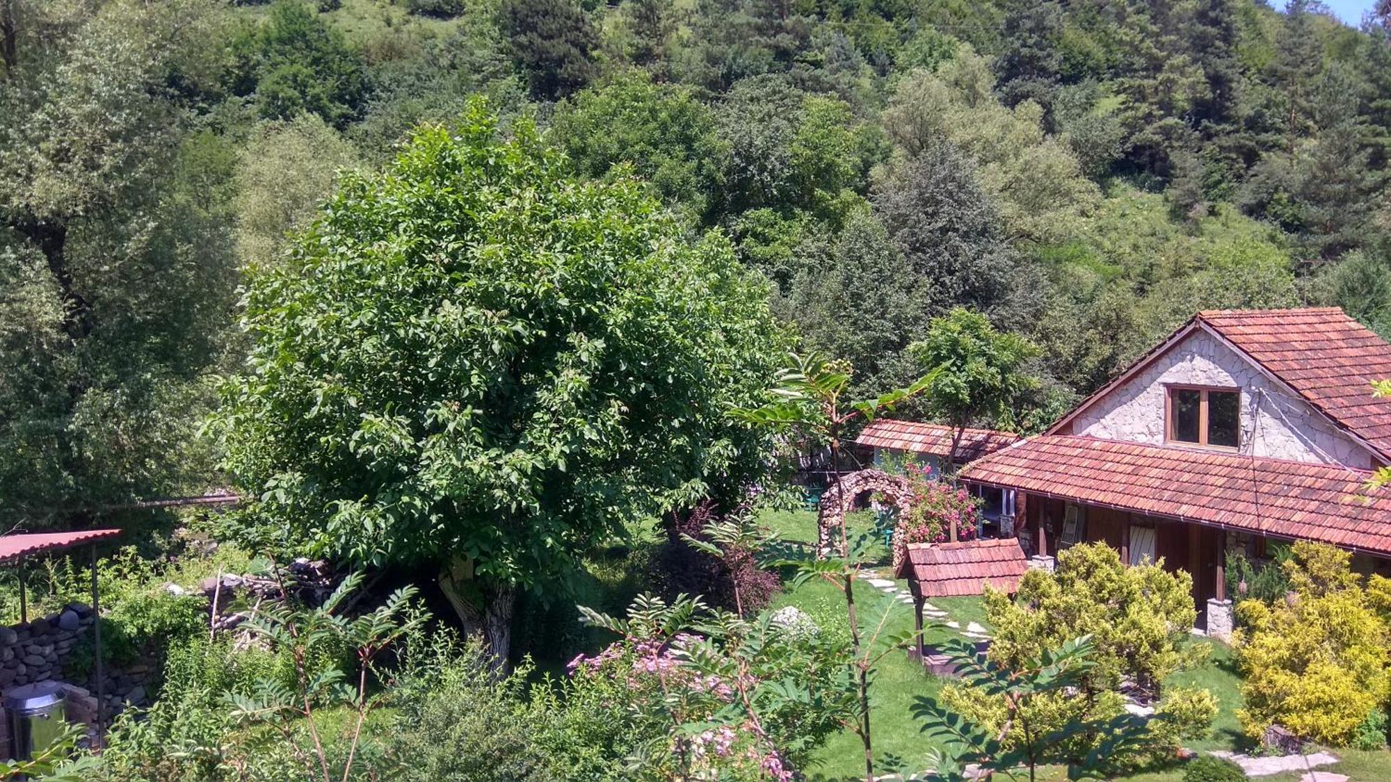 Bed and Breakfast Eco Garden Dilidschan Exterior foto