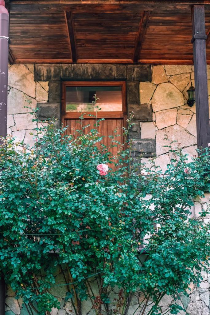 Bed and Breakfast Eco Garden Dilidschan Exterior foto